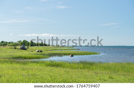Green seaside pasture, bright green reed and grass under blue sky. Nordic meandering coast of tiny island Muhu. Warm sunny midsummer day. Tranquil Baltic Sea. Estonian coastline.