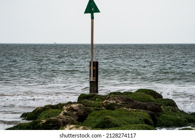 Green Seaweed Rock Groin On Sandy Beach