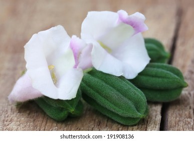 Green Sesame Seeds With Flower On Wooden Surface