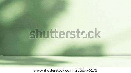 Green Shadow Background Studio Room Photo Empty Gradient Leaf Floor Wall Backdrop Muslin Design Canvas Surface Texture Podium 3d Eco Scene Mockup Product Cosmetic Beauty Organic Display Stand Bg.