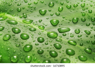 green sheet background with raindrops