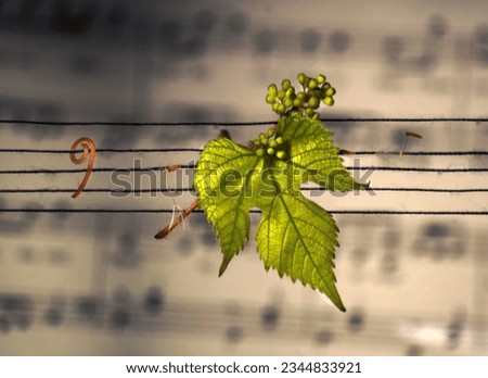 Green sheet on music stand with musical bass clef on the background of piano sheet music