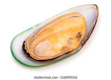 Green Shell mussels  isolated on white background, Fresh New Zealand mussels or Perna Canaliculus on White Background With clipping path,