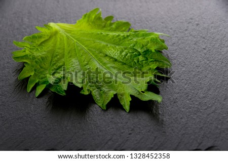 Similar – Image, Stock Photo Fresh leaf salad on a board with text space on the left