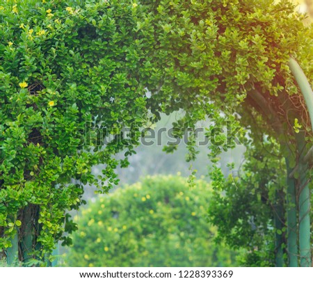 Similar – Foto Bild Ruheplatz Natur Pflanze