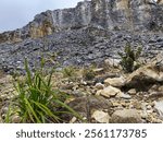 The green shurbs are growing on the volcanic rocks hills.