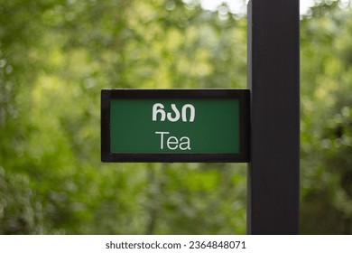 Green sign on pole in park against backdrop of tropical forest palm trees. Template for presentation. Concept of indicating path, road, travel, tourism, street, message. Translation from Georgian: Tea - Shutterstock ID 2364848071