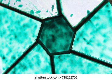 green skylight
