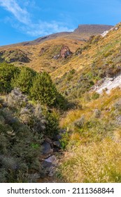 Green Slope Of Mount Tongariro At New Zealand