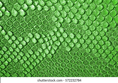 Green python Images, Stock Photos & Vectors | Shutterstock