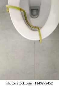 327 Snake Toilet Images Stock Photos Vectors Shutterstock   Green Snake Toilet Bowl Unsafety 260nw 1143972452 