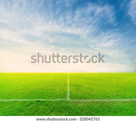 green soccer field with the blue sky