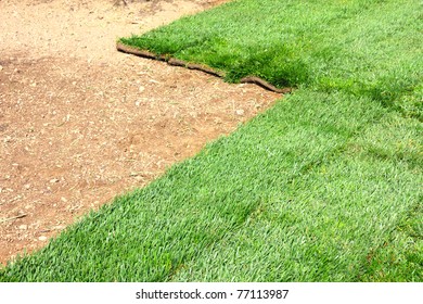 green sod grass and brown earth Background