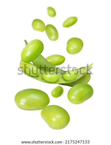 Green soy bean flying in the air isolated on white background.