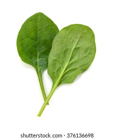 Green Spinach Leaves On White Background