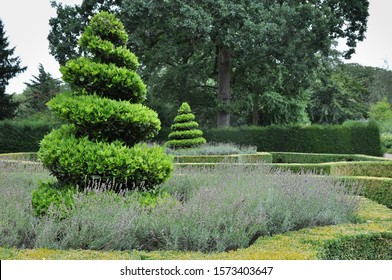 Green Spiral Topiary Trees In  Garden.