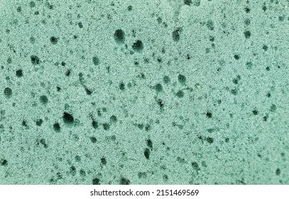 Green sponge detailed texture, sponge texture background. High quality photo