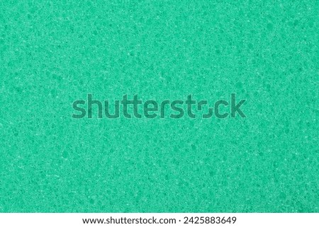 Green sponge detailed texture, sponge texture background. High quality photo                      