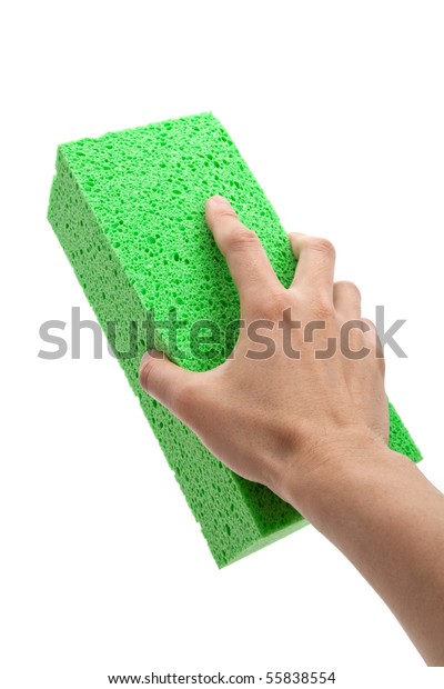 Green Sponge with white\
background