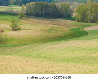 green spring field