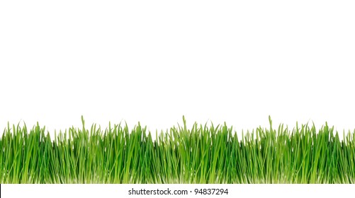 47,552 Cut grass texture Images, Stock Photos & Vectors | Shutterstock