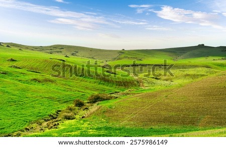 green spring hills with young grass and amazing growing fields and hills with beautiful bright cloudy sunset on background of rural landscape