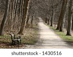green spring landscape  and  a forest path