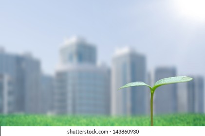  Green sprout and cityscape