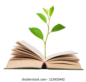 4,159 Tree growing out of book Images, Stock Photos & Vectors ...