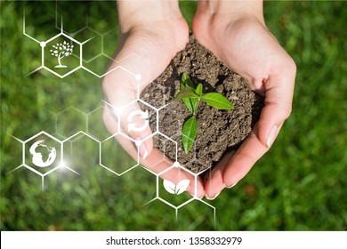 Green sprout in the hands with biochemical structure