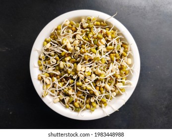 Green sprouted moong in a plate. Mung bean sprouts are a culinary vegetable grown by sprouting mung beans. Mung Bean Sprout