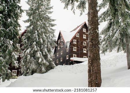 Green spruce pine trees,vintage retro wooden village rural house covered in snow in winter forest in mountains,nature.Calm countryside. Home residence in coniferous trees.Eco concept.selective focus