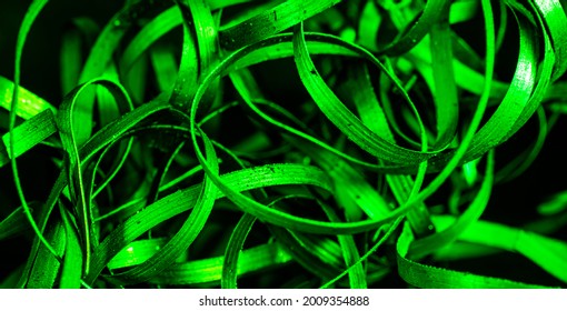 Green Steel Shavings Macro Shot For Wallpaper Or Texture