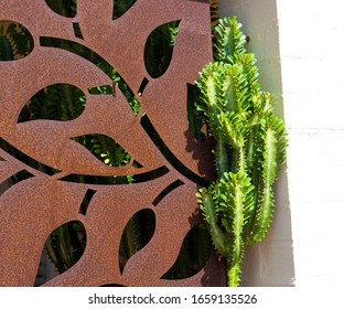 A Green Succulent Cactus Is Contrasted Against A Rusted Metal Sheet With Cut Out Leaf Pattern Adding Interest To A Suburban Street Scape In Late Summer.