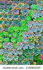 Green Succulent Wall