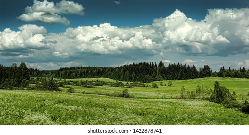 Green Summer Field, Forest On The Horizon And Clouds In The Sky