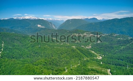 Green summer forest. Bird eye view. Mountainscape with snow caps on horizon. Summer landscape.