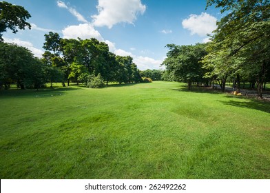 Grüner Sommerpark Garten mit blauem Himmel.