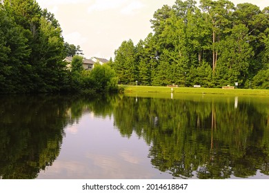 Green summer trees and a pond reflection at Seagrove Park Apex North Carolina - Shutterstock ID 2014618847