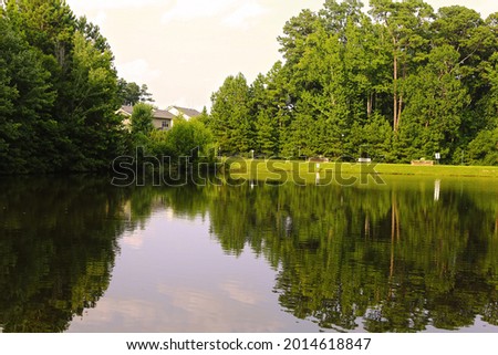 Green summer trees and a pond reflection at Seagrove Park Apex North Carolina