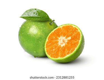 Green tangerine orange fruit with water drops and half slice isolated on white background.