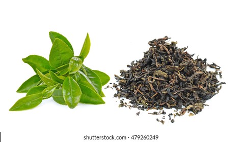 204,046 Black Tea Leaves Images, Stock Photos & Vectors 