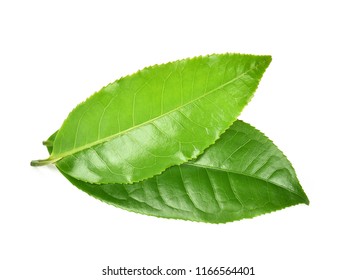 green tea leaf  isolated on white  background