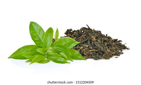 Green Tea Leaf Isolated On White Background