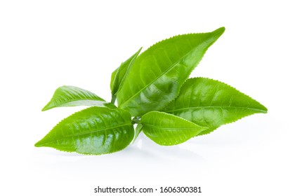 green tea leaf isolated on white background - Shutterstock ID 1606300381