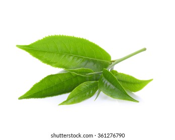 green tea leaf isolated on white background - Shutterstock ID 361276790