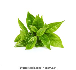 Green Tea Leaf Isolated On White 