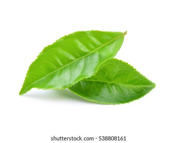 Green Tea Leaf Isolated On White Background