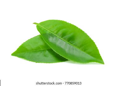 Green Tea Leaf Isolated On White Background