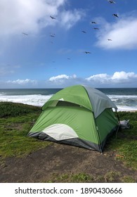 Green tent on the beach, California camping, Francis Beach Campground, Bay Area day trip activities, seagulls flying 